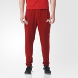 T29y4820 - Adidas FC Bayern Training Pants Red - Men - Clothing